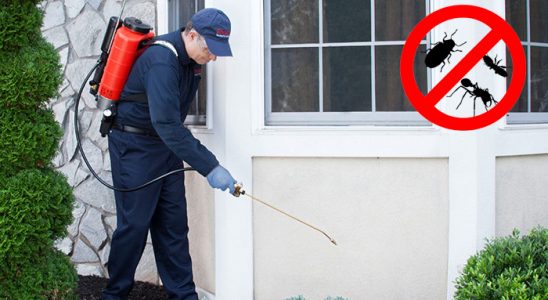Hanak Kene İlaçlama böcek ilaçlama ve haşere kontrolü — ilaclama-tr.com